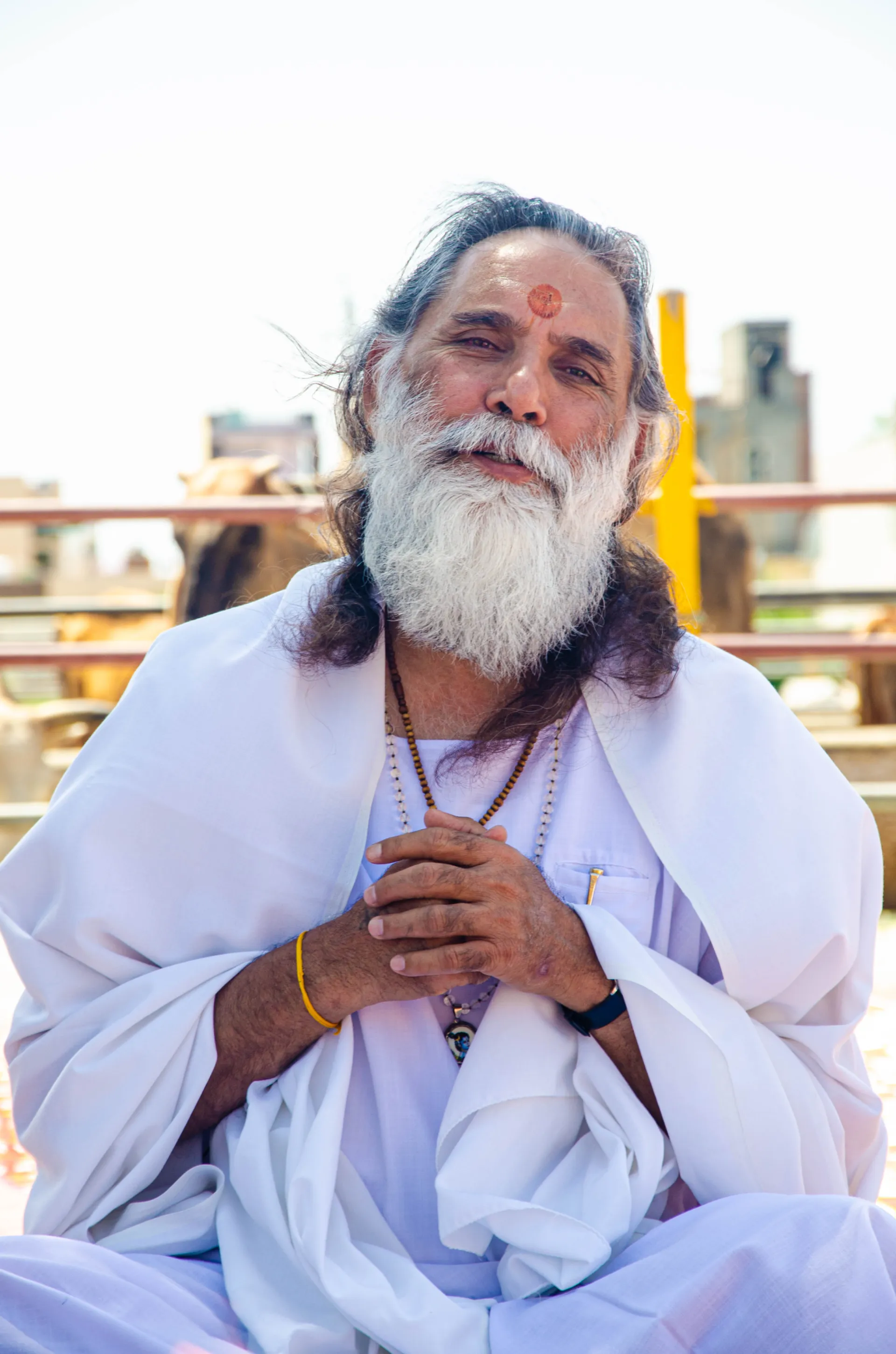 Gita Manishi Swami Gyananand Ji Maharaj