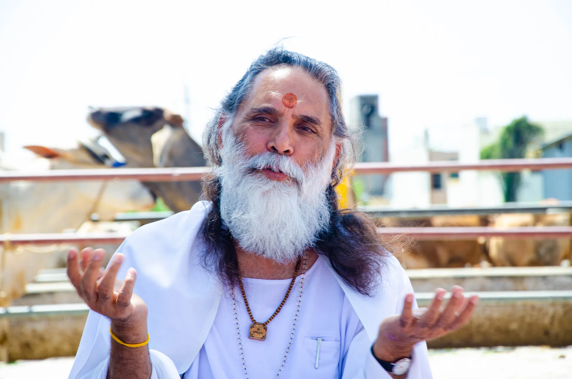 Gita Manishi Swami Gyananand Ji Maharaj