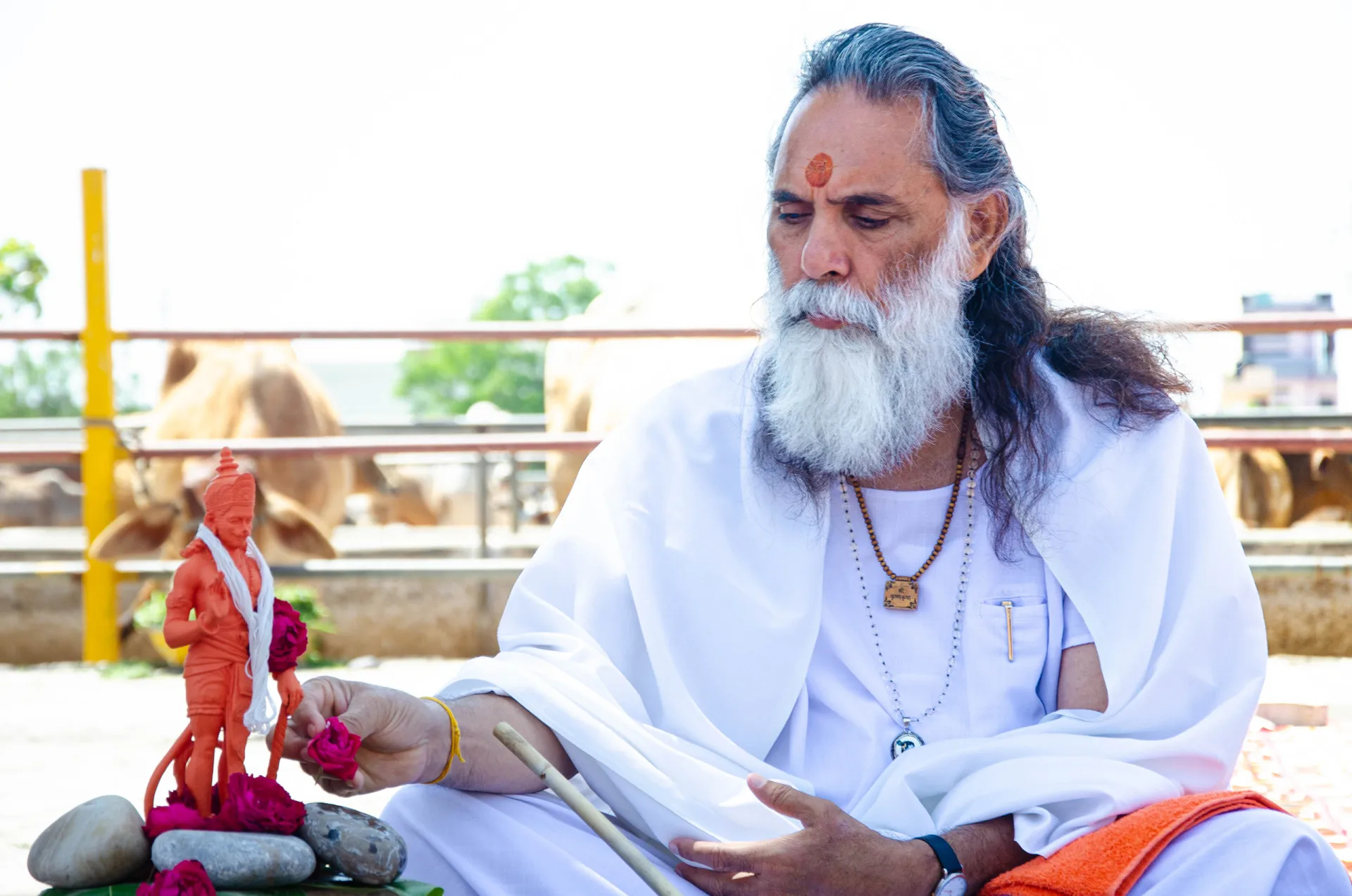 Gita Manishi Swami Gyananand Ji Maharaj