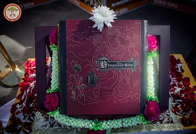 IGM 2024