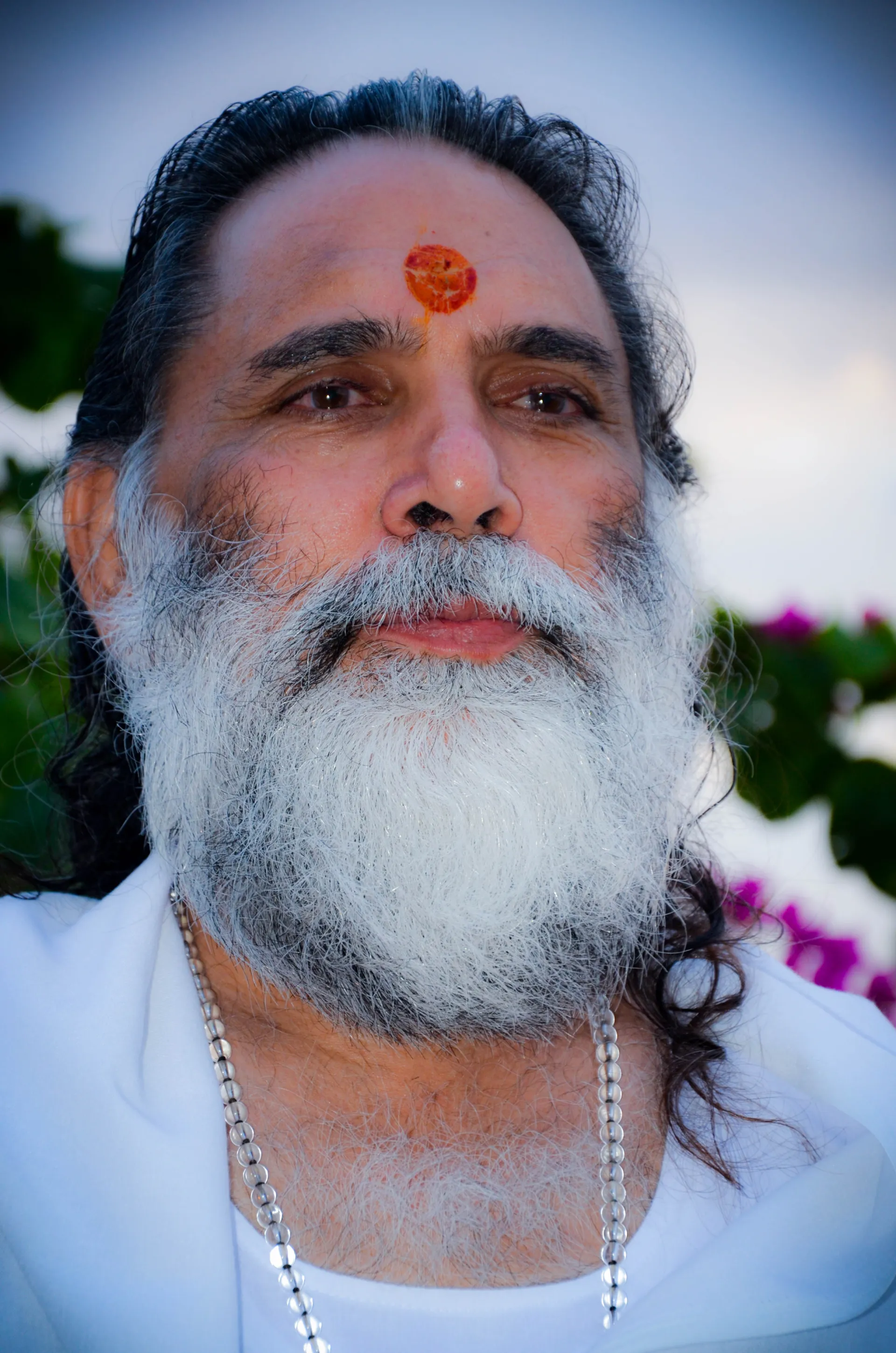 Gita Manishi Swami Gyananand Ji Maharaj