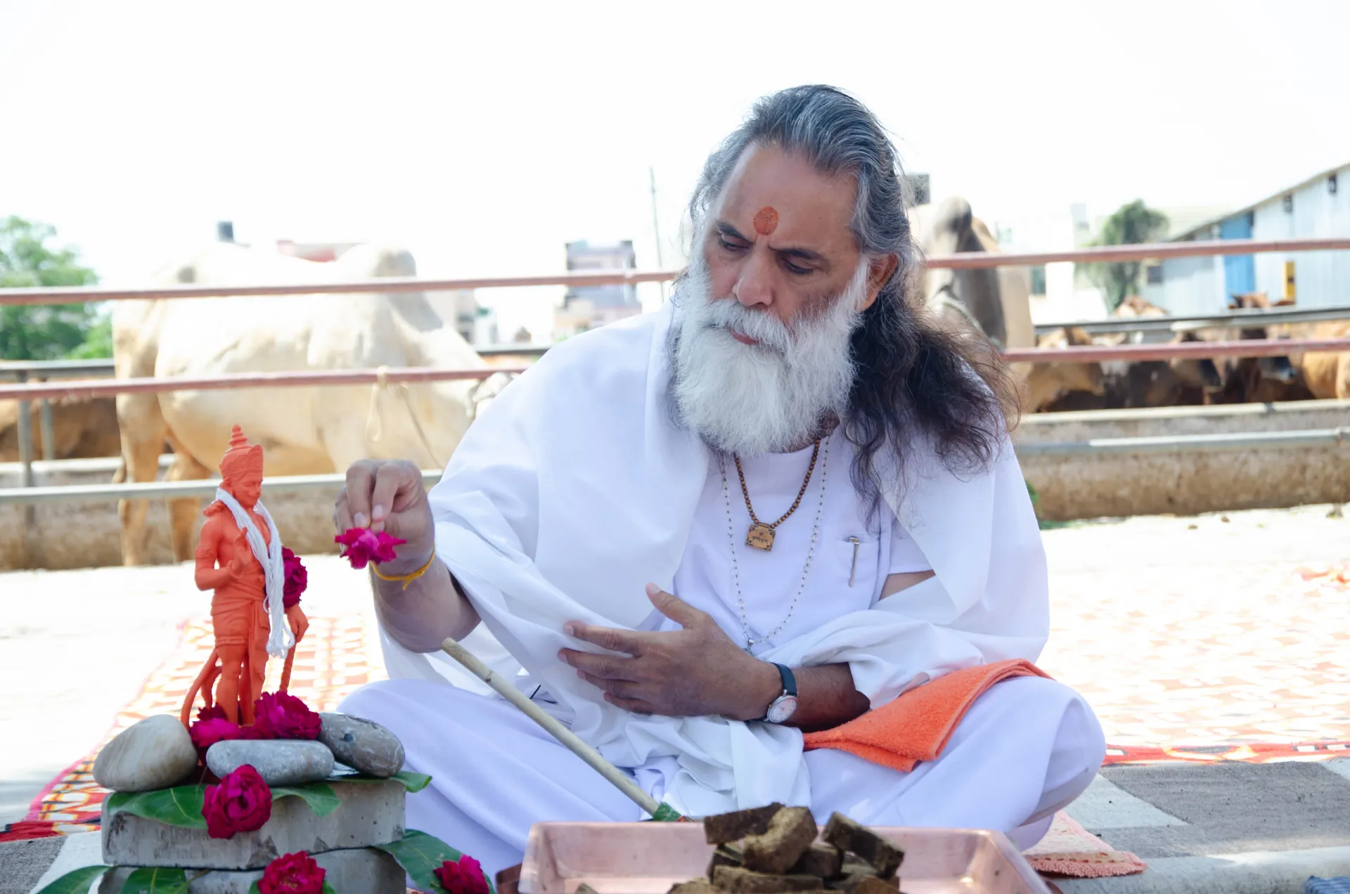 Gita Manishi Swami Gyananand Ji Maharaj