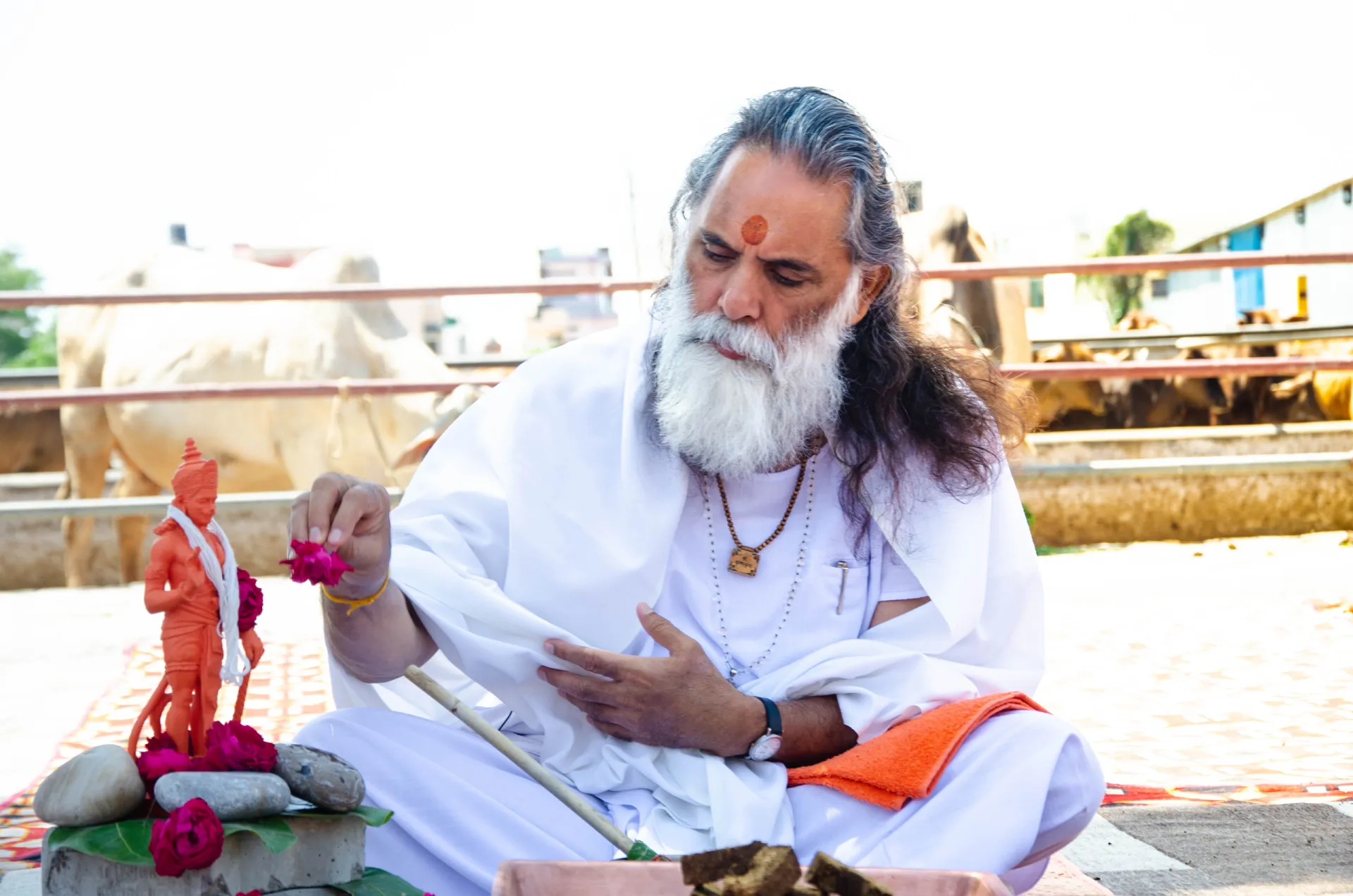 Shri Krishna Kripa Sewa Samiti