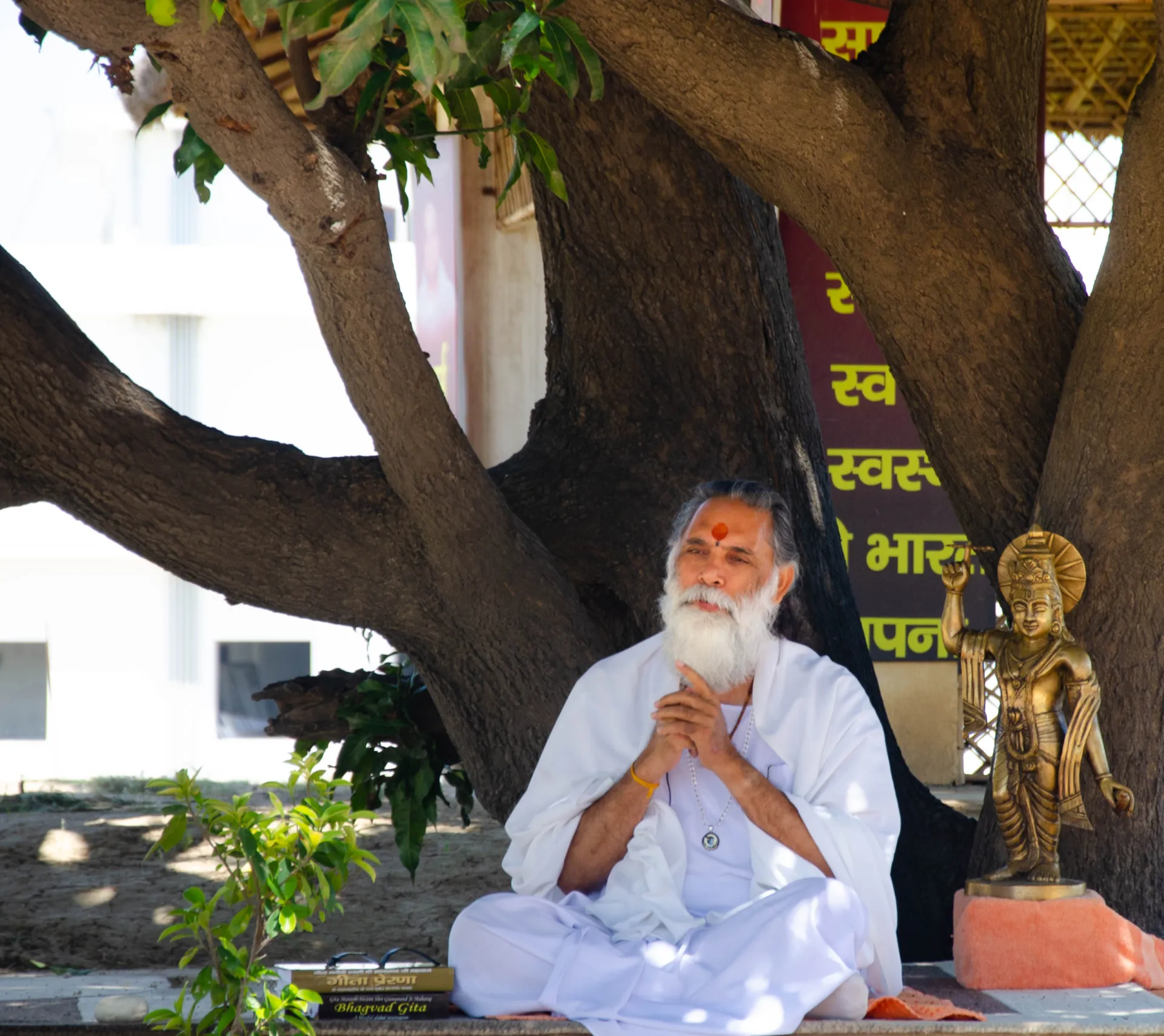 Gita Manishi Swami Gyananand Ji Maharaj