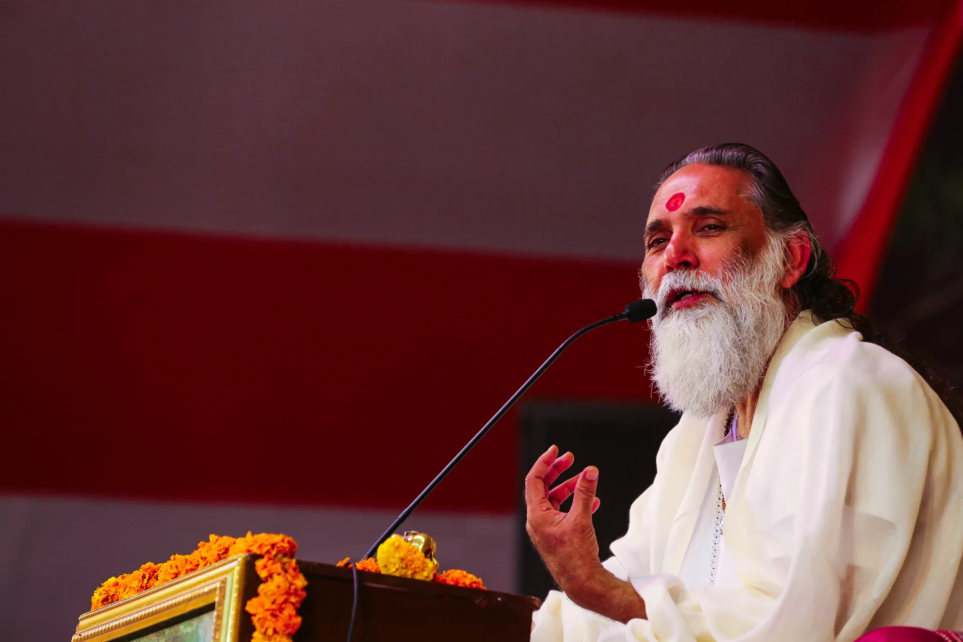 Gita Manishi Swami Gyananand Ji Maharaj